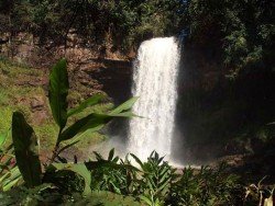 Luiziana, Paraná, Brasil
