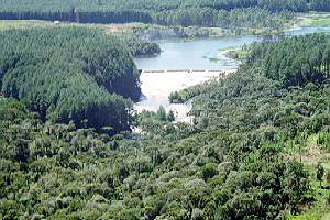 Coronel Domingos Soares Paraná fonte: www.paranaturismo.com.br