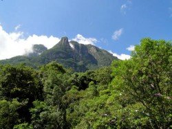 Turismo pode estimular conservação da natureza e desenvolvimento econômico