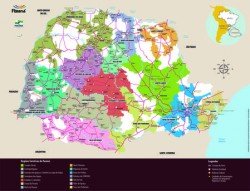 Rotas do Café, do Rosário e Enoturismo serão destaques no Salão Paranaense do Turismo